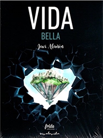 Books Frontpage Vida Bella