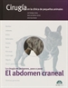 Front pageEl abdomen craneal. Cirugía en la clínica de pequeños animales