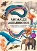 Front pageAnimales asombrosos