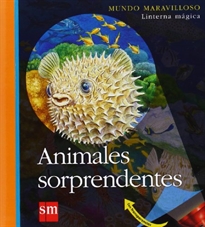 Books Frontpage Animales sorprendentes