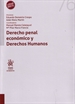 Front pageDerecho penal económico y derechos humanos