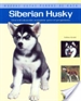 Front pageSiberian Husky