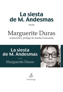 Books Frontpage La siesta de M. Andesmas
