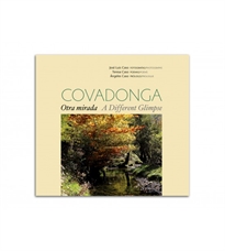 Books Frontpage Covadonga.