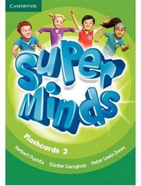 Books Frontpage Super Minds Level 2 Flashcards (Pack of 103)
