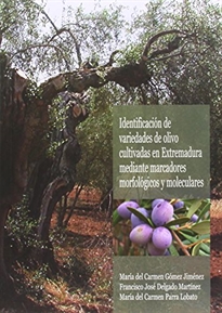 Books Frontpage Identificación de variedades de olivo cultivadas en Extremadura mediante marcadores morfológicos y moleculares