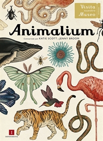 Books Frontpage Animalium
