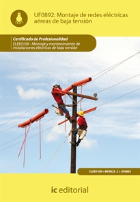 Books Frontpage Montaje de redes eléctricas aéreas de baja tensión. ELEE0109 -  Montaje y mantenimiento de instalaciones eléctricas de baja tensión