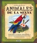 Front pageAnimales de la selva