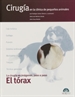 Front pageEl tórax. Cirugía en la clínica de pequeños animales