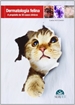 Front pageDermatología felina. A propósito de 50 casos clínicos