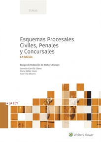 Books Frontpage Esquemas procesales civiles, penales y concursales (7.ª edición)