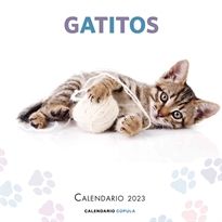 Books Frontpage Calendario Gatitos 2023