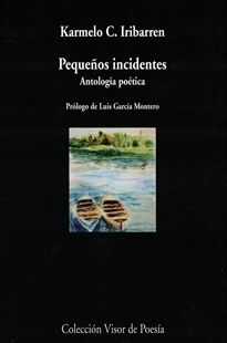 Books Frontpage Pequeños incidentes. Antología poética