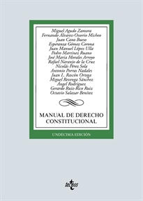 Books Frontpage Manual de Derecho Constitucional