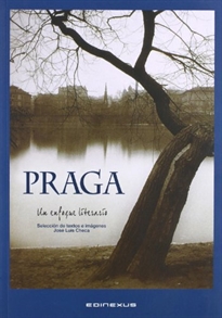 Books Frontpage Praga Un Enfoque Literario