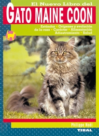 Books Frontpage Gato maine coon