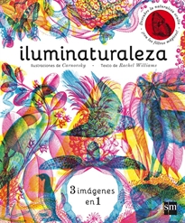 Books Frontpage Iluminaturaleza